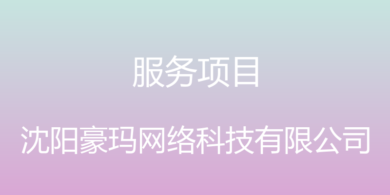 服务项目 - 沈阳豪玛网络科技有限公司